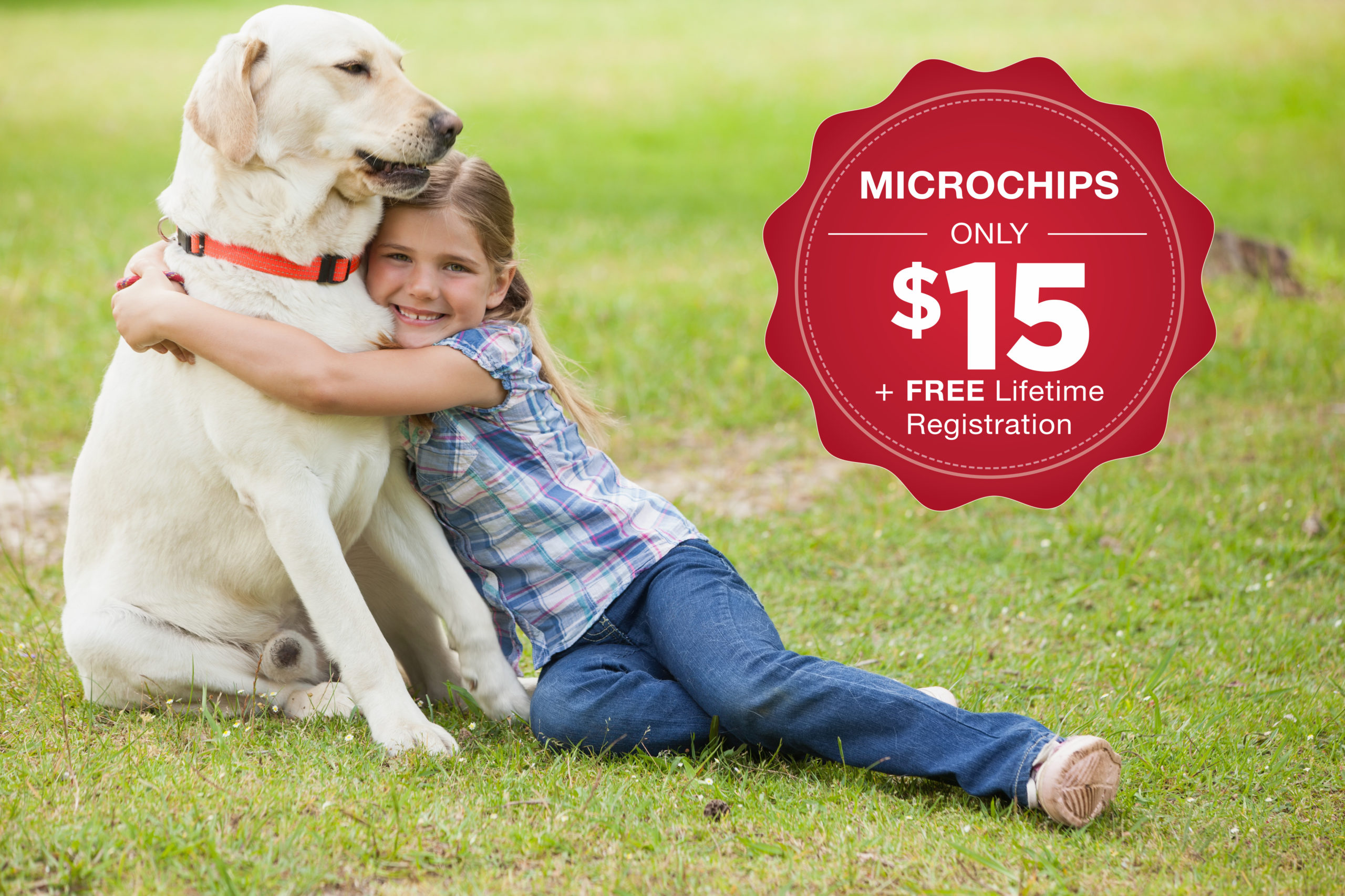 Microchipping